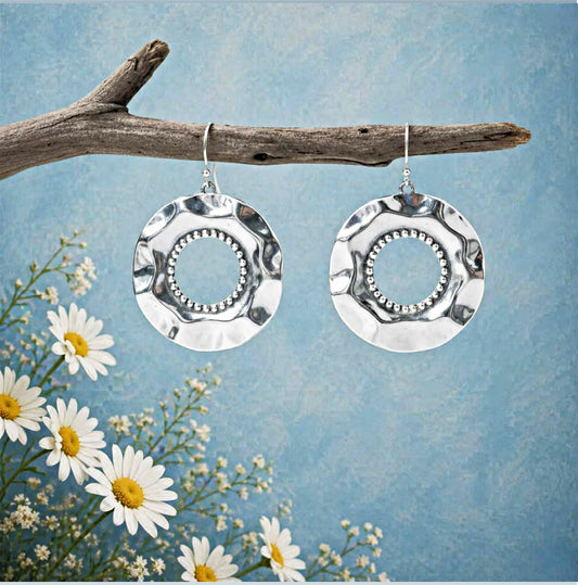 Desert Diversity - Silver Earrings